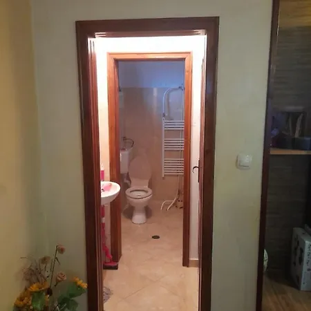 дани *